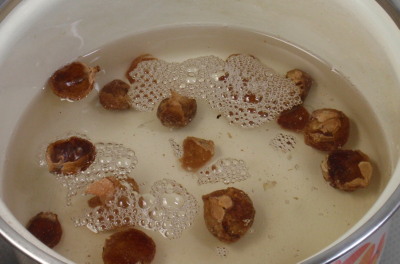 soapnuts in water