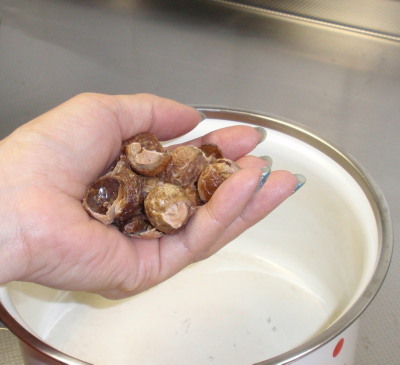 soapnut shells (approx. 30 g) to boil 